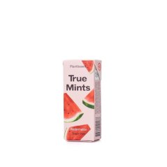 True Gum Pastilky meloun, 13g