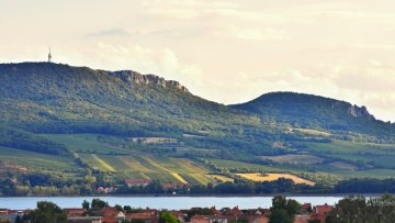 Česká a moravská vína. Jaké typické odrůdy u nás hledat a podle čeho je vybírat?