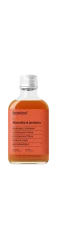 Sirupárna Meruňka & jeřabina sirup, 100ml