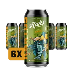 Raks Limonáda Rázný kaktus, 6x 500ml