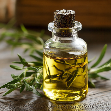 Tea tree olej (Tea Tree Oil)