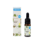 Kvítok Pleťové sérum Rostlinný kolagen, 10ml