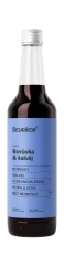 Sirupárna Borůvka & šalvěj sirup, 500ml