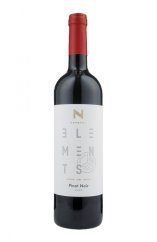 Karel Novotný Pinot Noir 2022 ELEMENTS suché, 0,75l