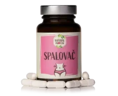 NaturalProtein Spalovač, 60 kapslí