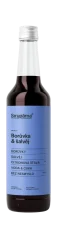 Sirupárna Borůvka & šalvěj sirup, 500ml