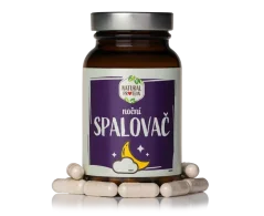 NaturalProtein Noční spalovač, 60 kapslí