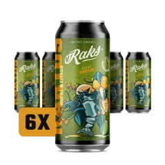 Raks Limonáda Rázný kaktus, 6x 500ml