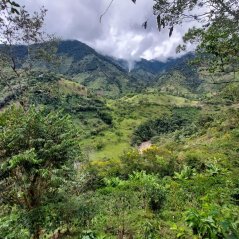 Coffee Source Plachetnicová Colombia Tolima Planadas Natural, 250g