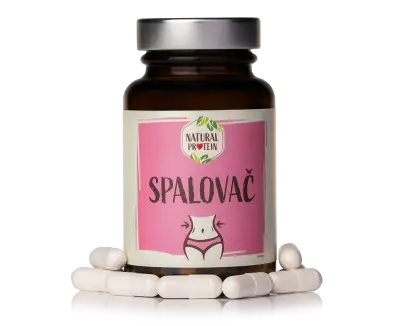 NaturalProtein Spalovač, 60 kapslí