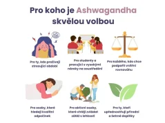 Renovality Ashwagandha MAXIMAL, 90 tobolek