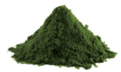 LifeLike Spirulina prášek, 100g